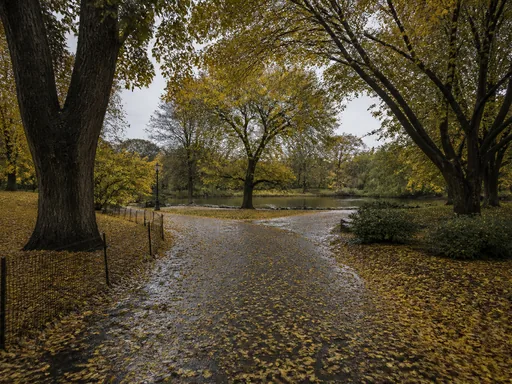 Quiet Rain-darkened City Park — Seasons & Weather Galaxy Fold wallpaper