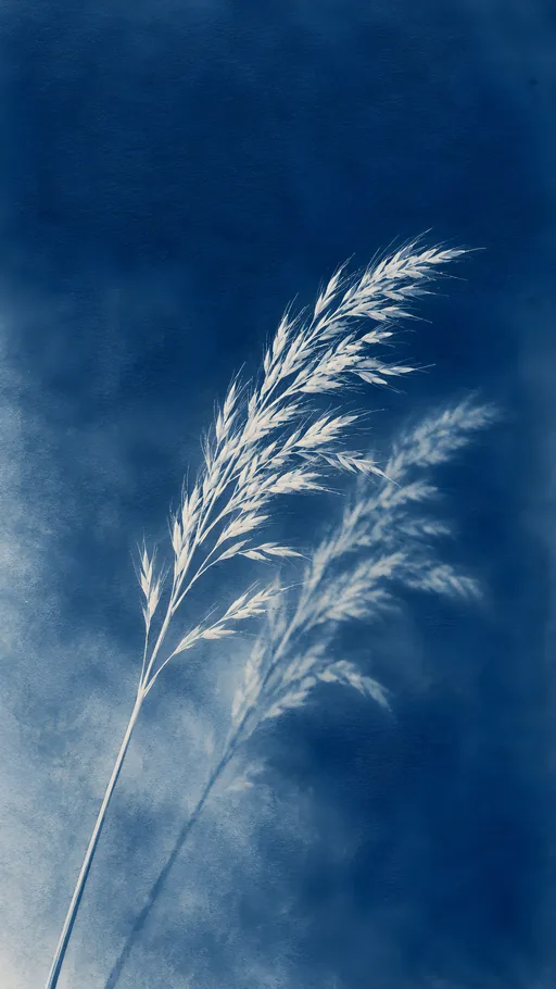 Grass Seedhead Double Exposure — Flowers & Plants wallpaper