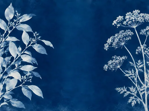 Two Plant Impressions — Flowers & Plants wallpaper
